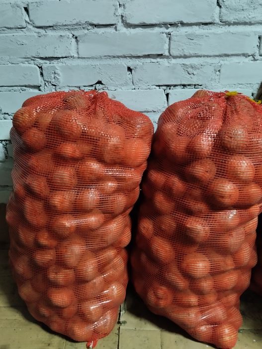 Продам картофель домашний