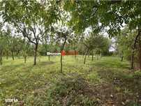 Casa In Zona Garii | Marghita