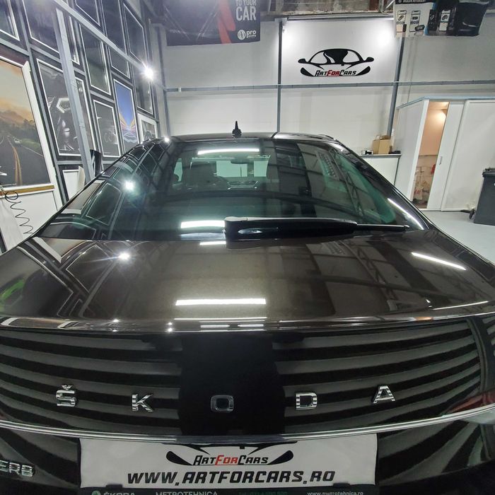 Polish auto profesional