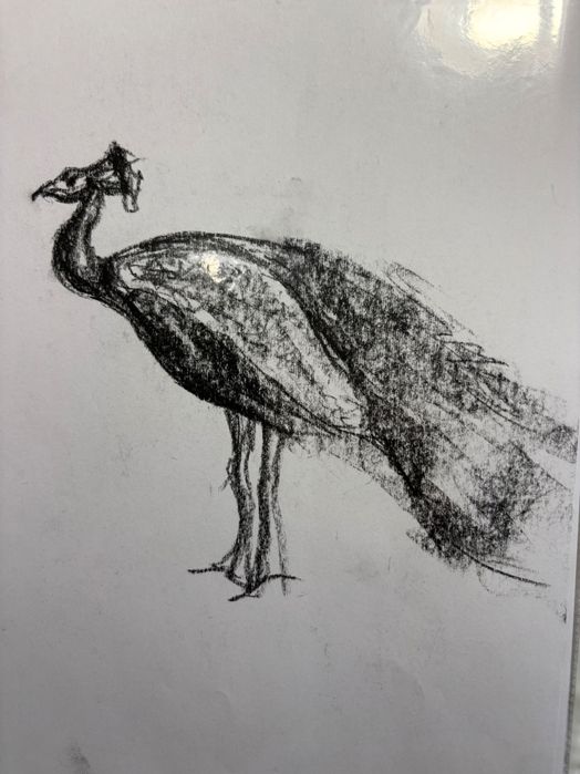 Скици с въглен 106 броя