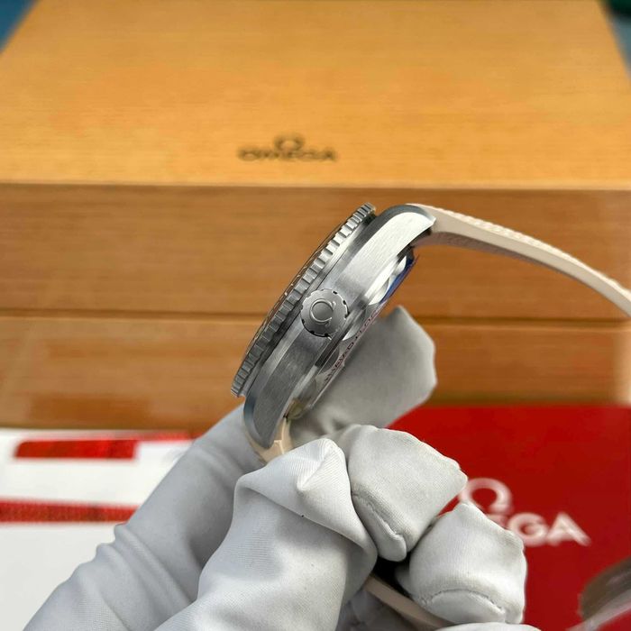 omega seamaster planetocean beggie