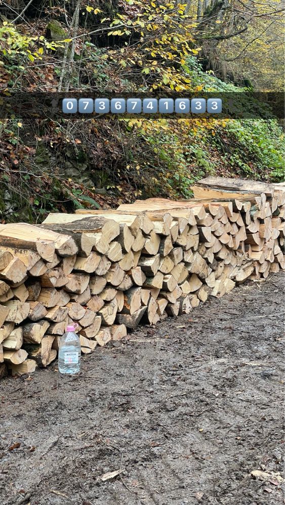 Vindem lemne de foc de calitate superioară [FAG,GORUN,CARPEN,CER]