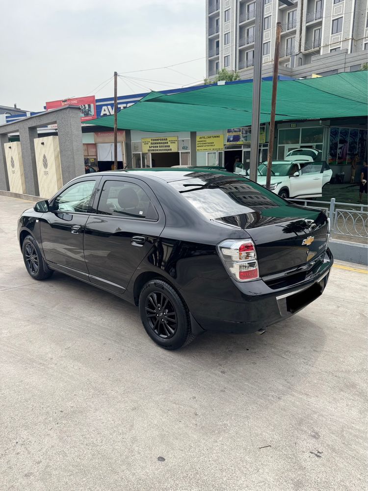 Cobalt Midnight Qora