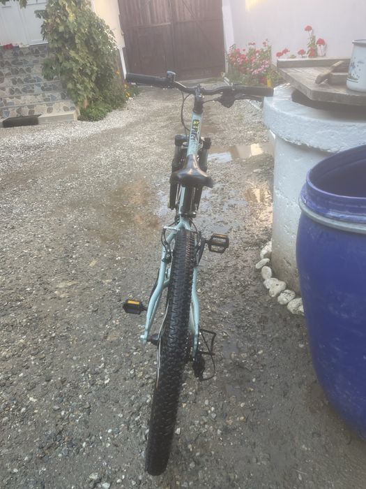 Vand bucucleta ROCKRIDER 2024