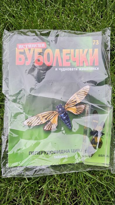 Истинските Буболечки