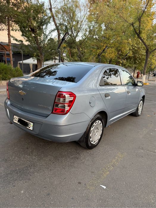 Kobalt MT 2014 y. Gazi bor