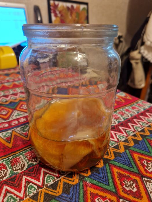 Отдам даром чайный гриб