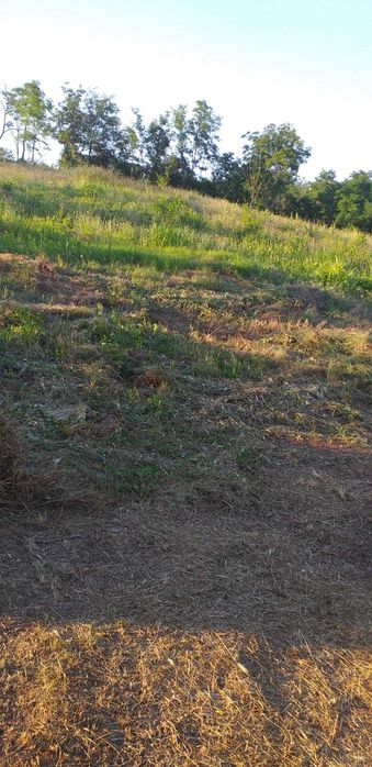 Case de vânzare în Văleni, Vaslui – 4.500 m² teren