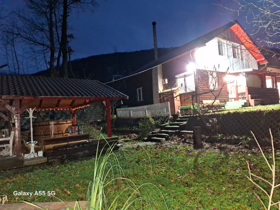 Cabana Borzia/Rastolita Mures (liber craciun)