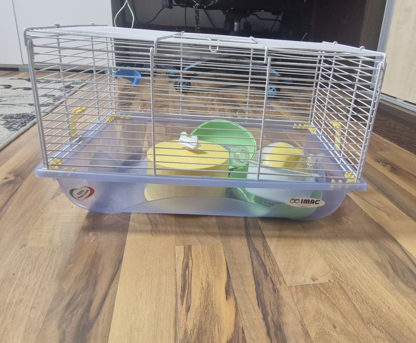 Cusca hamster echipata