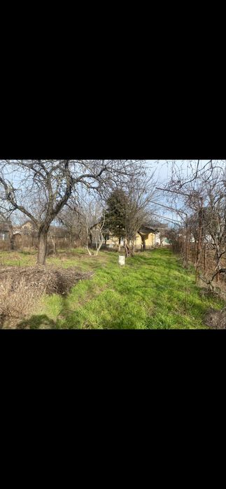 Teren + casa Chitila , Jud Ilfov str Recoltei