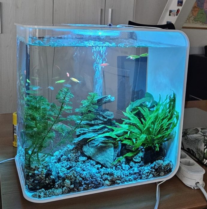 Acvariu Biorb Flow 30 de L