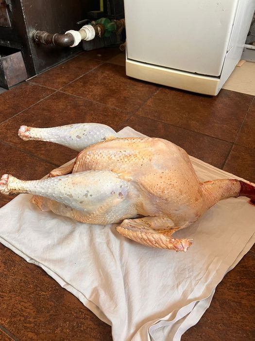 Продается мясо гусей индюков