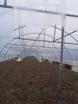 Sere solarii cu montaj 60 ron