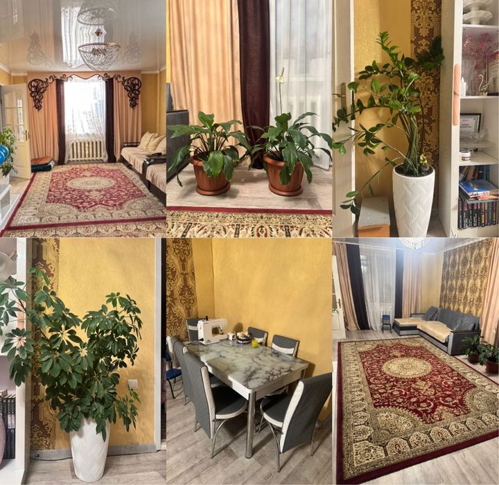 продам цветы, ковер, стол