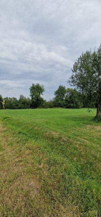 Terenuri intravilane alăturate 30 ari si 26 ari ideal casă sau arabil