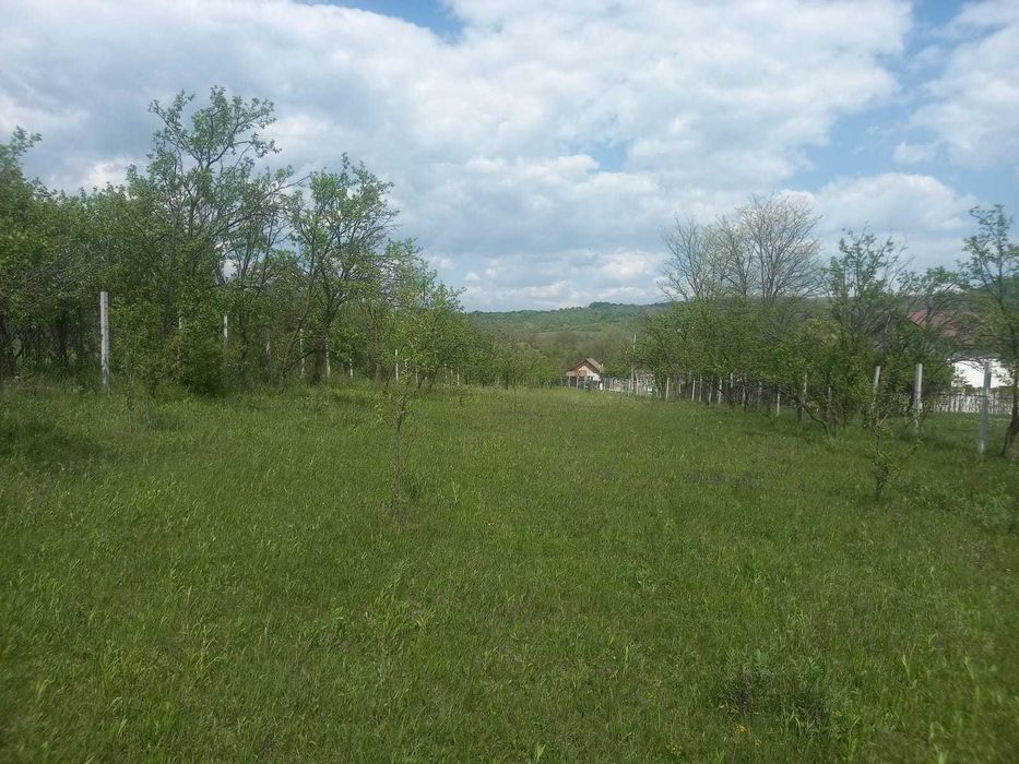 Teren intravilan 1700 mp - Drajna de Jos, Poiana Mierlei – 15€/mp, neg