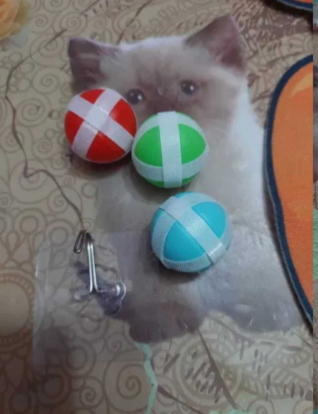 Joc aruncare la țintă Darts veveriță