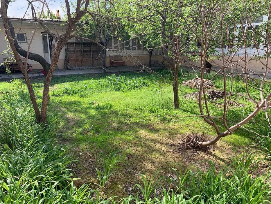 Tez hovli sotiladi Beshqayrag`ochda 6 sotix