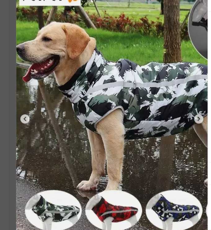 одежда для собак