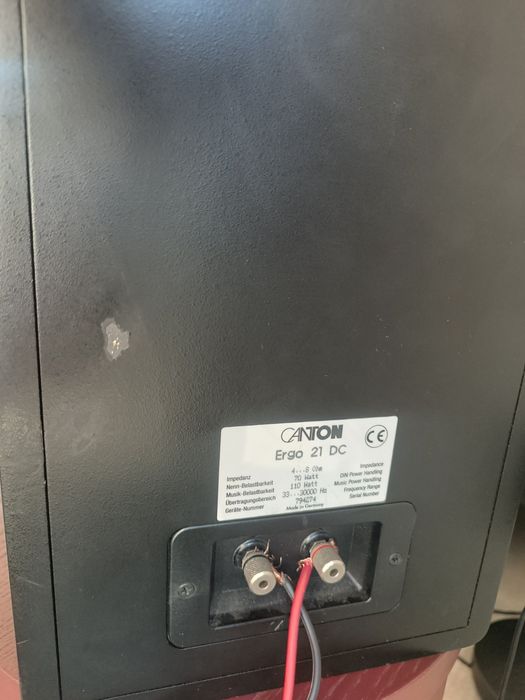 Тонколони Canton Ergo 21 DC