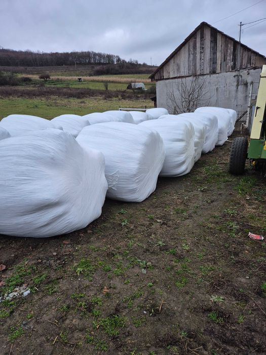 Vând baloți de lucernă in folie