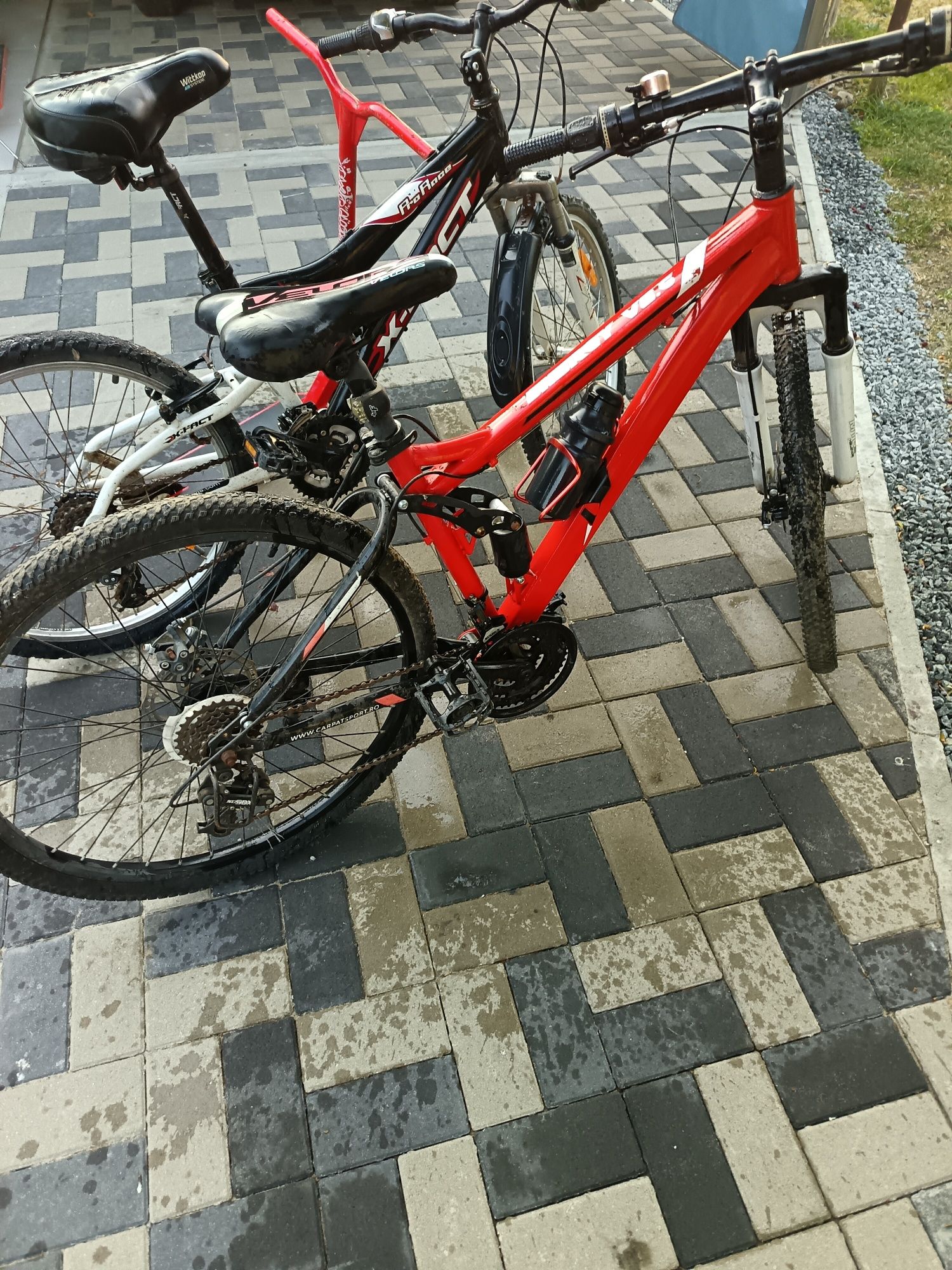 Biciclete și trotinetă de vânzare