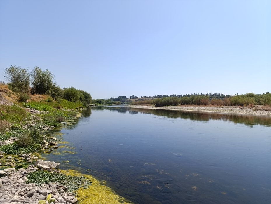 Ташморе. Вдоль реки 4 гектара