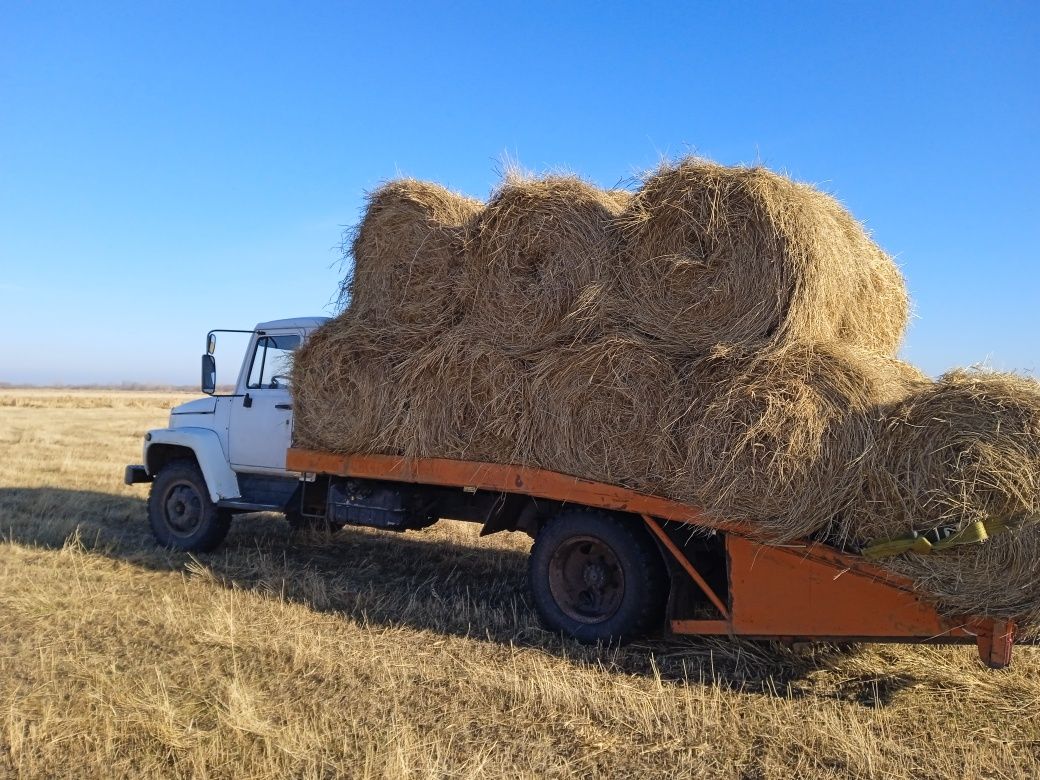 Услуги эвакуатора