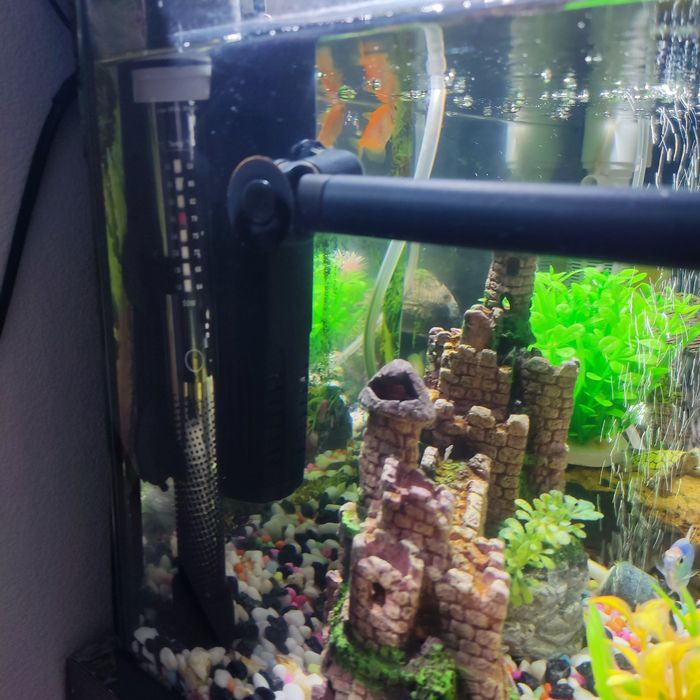Acvariu pești 60L