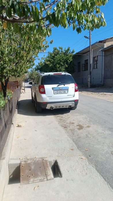 Arzon captiva  bor