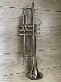 Trompeta Buffon
