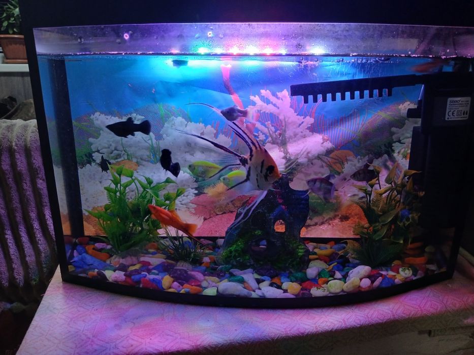 Продаю срочно аквариум