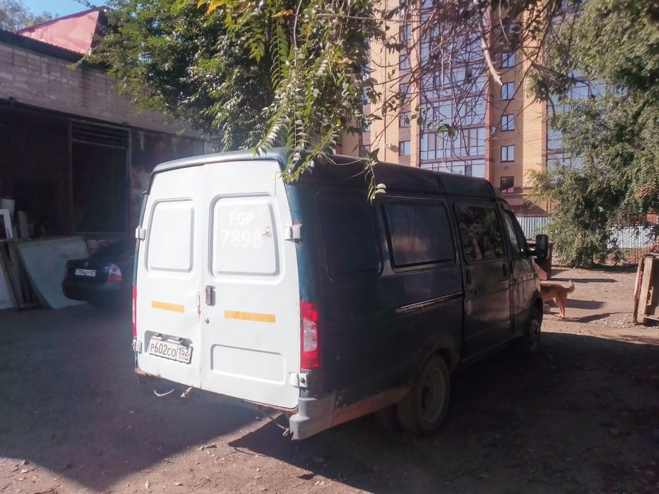 Газель целном талически