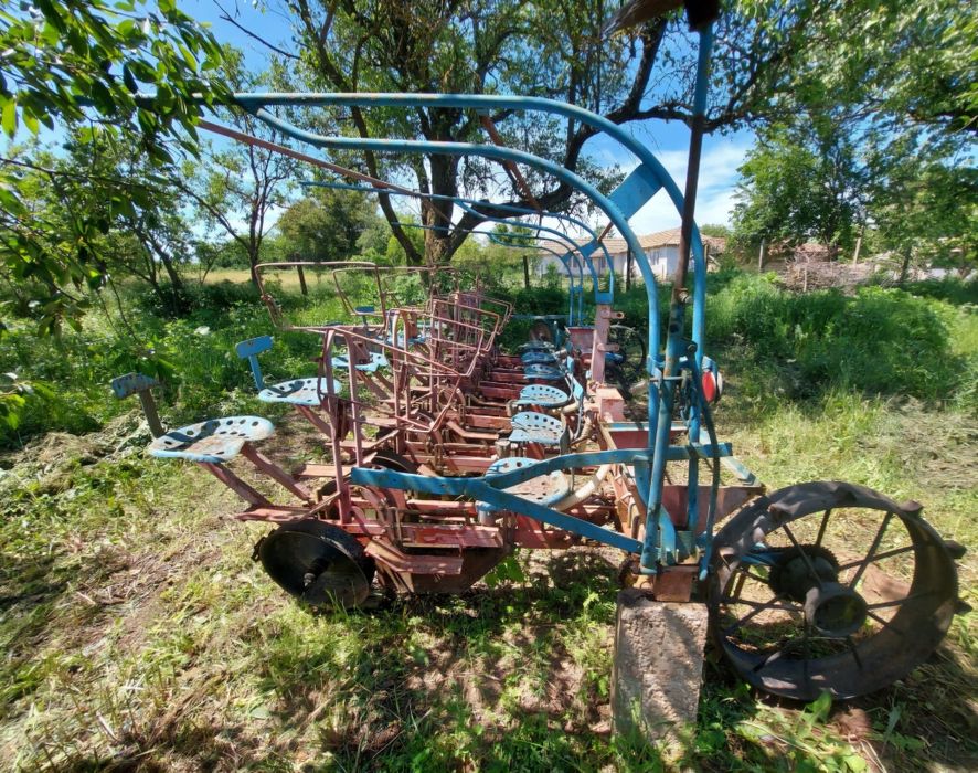 Сеялка за тютюн лавандула