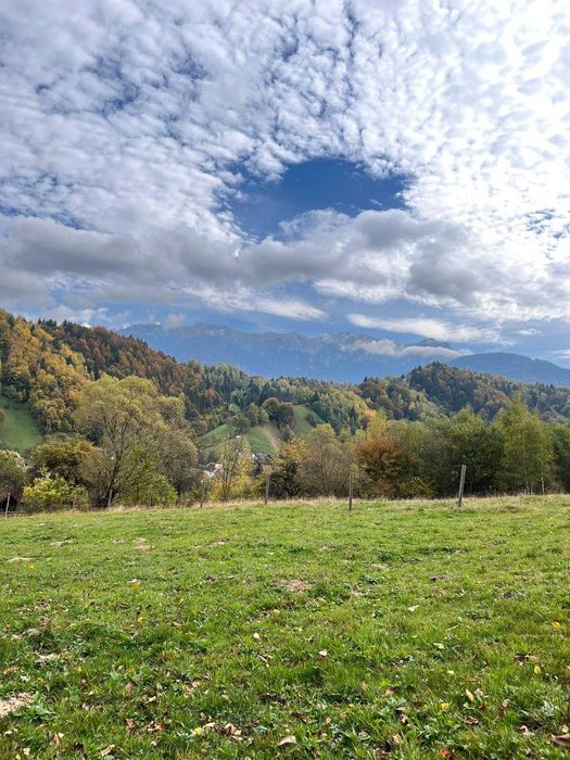 PROPRIETAR - 3274 mp intravilan Simon (BRAN)