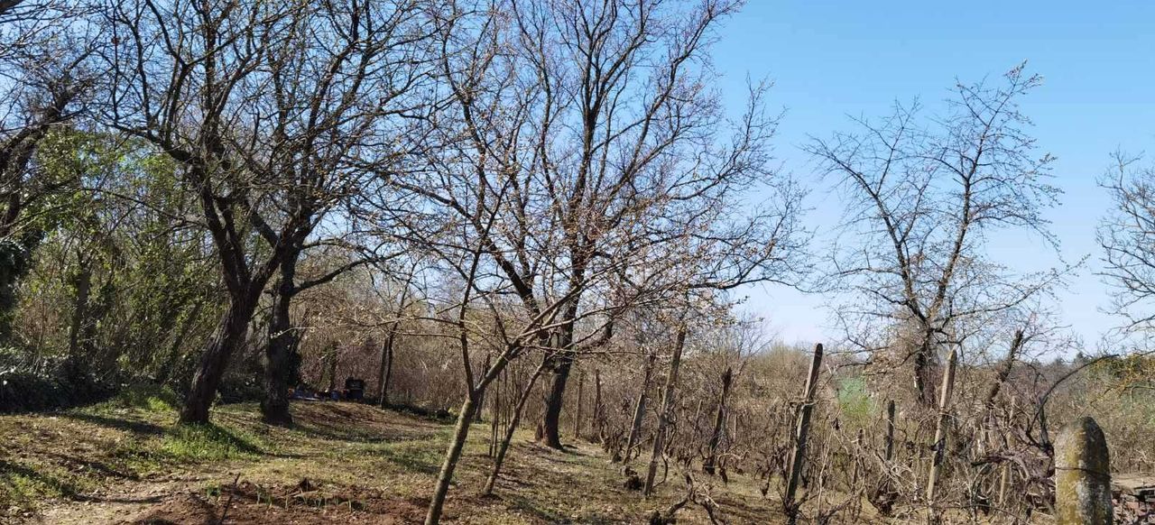 Продава се Парцел в Русе, Родина 3 - 506 кв.м за 11 €/кв.м - Снимка #3