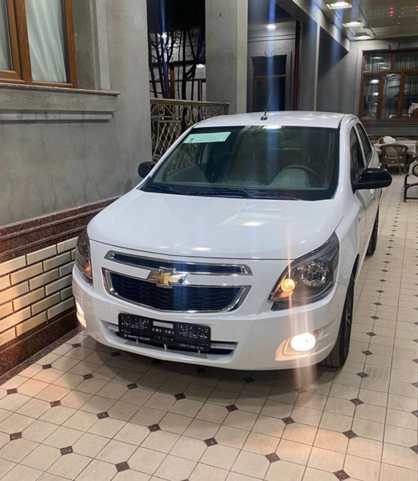 **Kobalt midnight MSM 2026 model