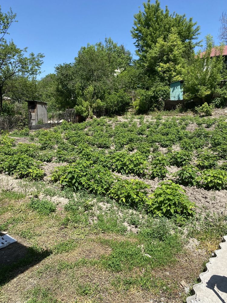 Продам дом в городе Талгар