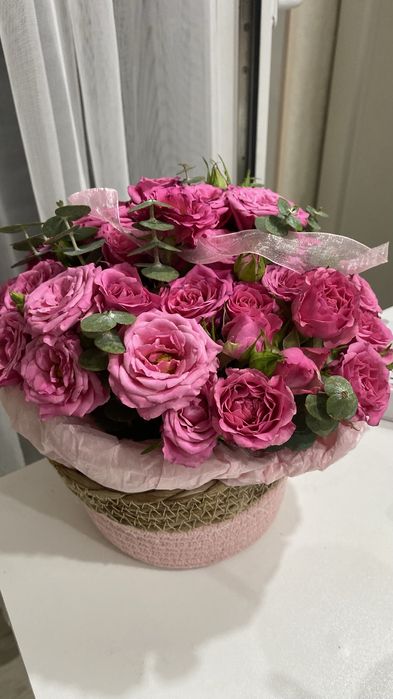 Продам цветы свежие)