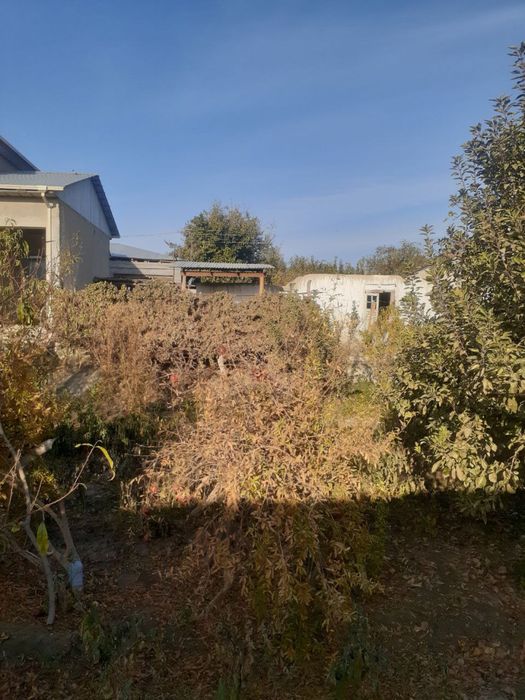 Ер участка сотилади мохи хосса