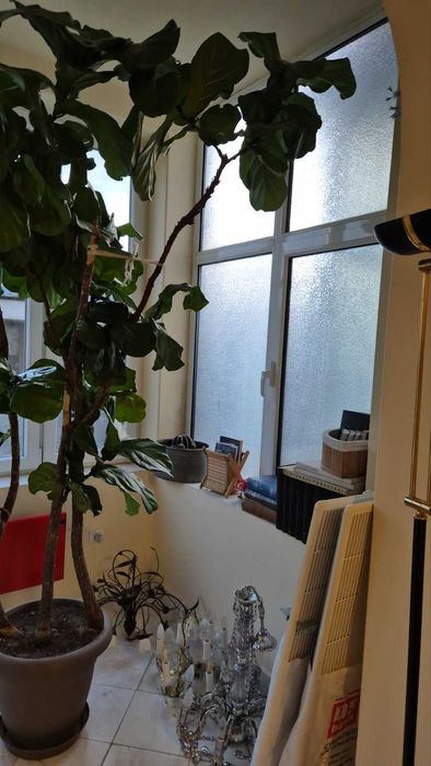 Продава се Двустаен апартамент в Варна, Централна поща - 66 кв.м за 3334 €/кв.м - Снимка #13