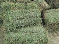 Beda press yaxshi