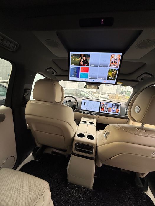 Li 9 Pro доп опция 2024