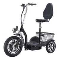 Tricicleta Electrica pentru Persoane in Varsta sau cu Dizabilitati