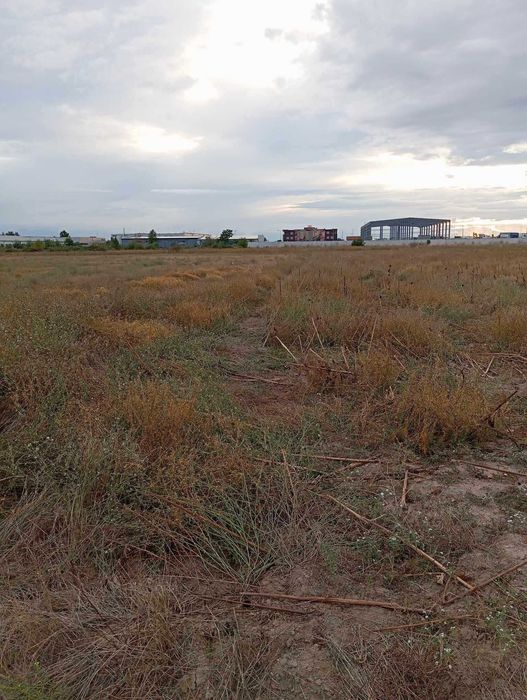 Дава се под наем Земеделски имот в с. Труд, Област Пловдив -  кв.м за 1495.83 € - Снимка #2