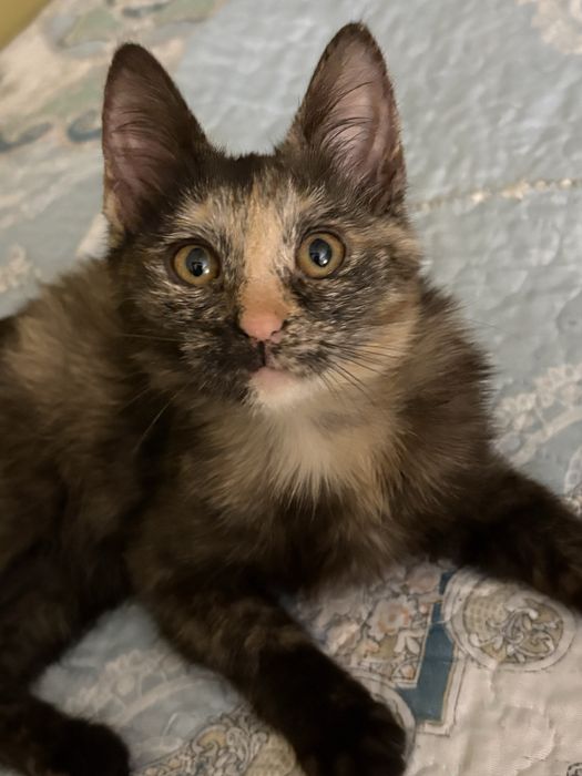 Только ответственным