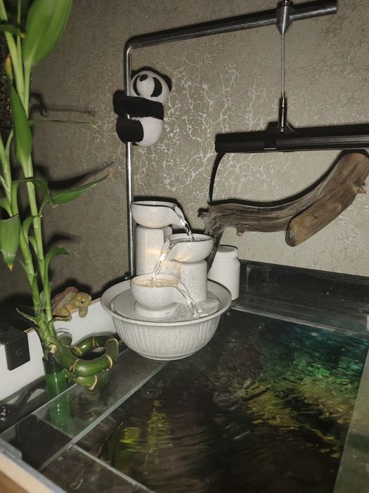 Деккор для дома, офиса