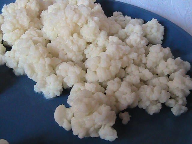 Ciuperca tibetana, Kefir de lapte, chefir, bio, Ciuperca, Chefir lapte