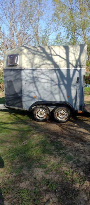 Super ofertă pentru iubitorii de animale!